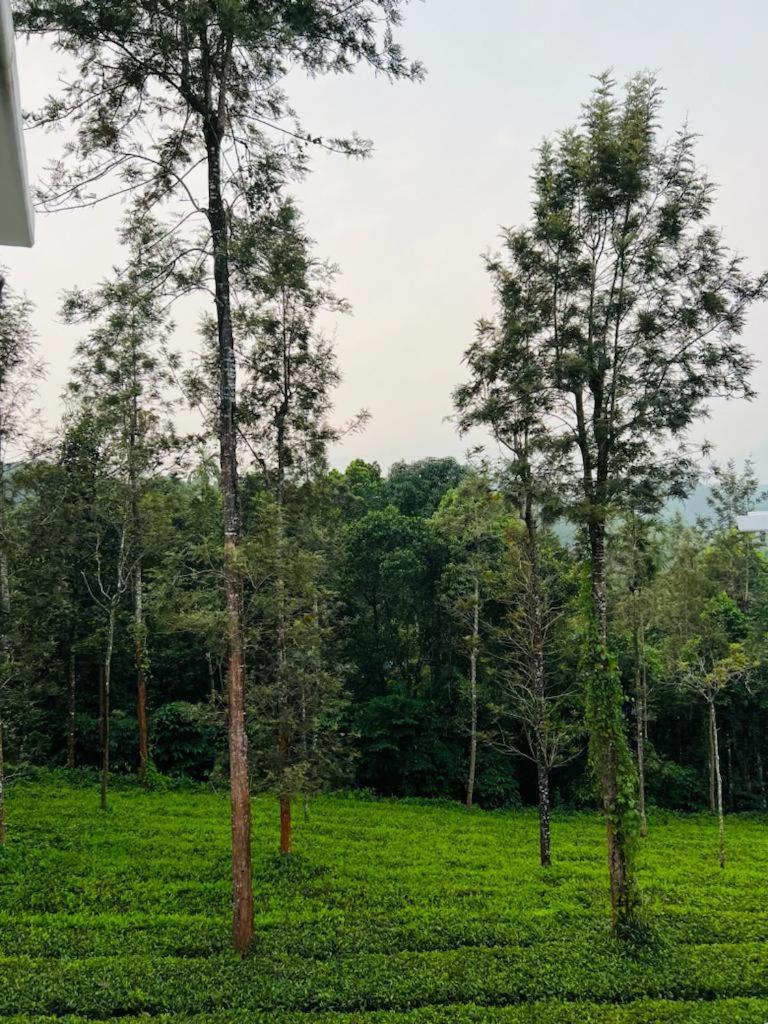 Pabis Luxurious Stay Vythiri Bagian luar foto